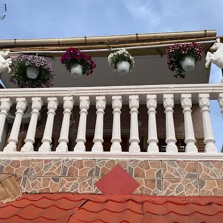 Velikaj * Vlorë